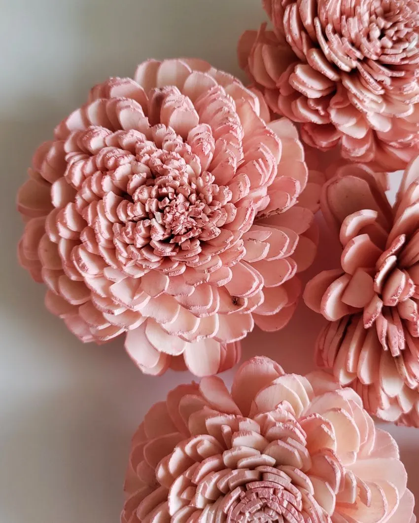 Corelle Sholapith DIY Flower Bunch | Vase Not Included | 15 Flower Heads