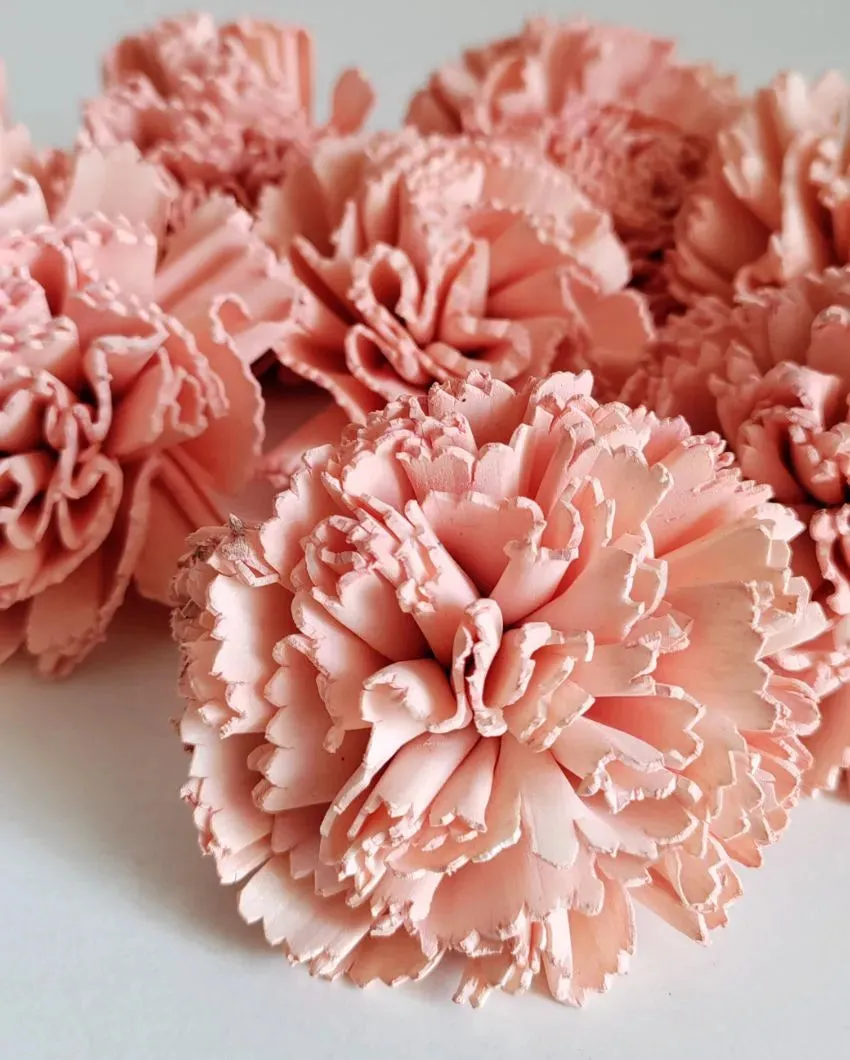Corelle Sholapith DIY Flower Bunch | Vase Not Included | 15 Flower Heads