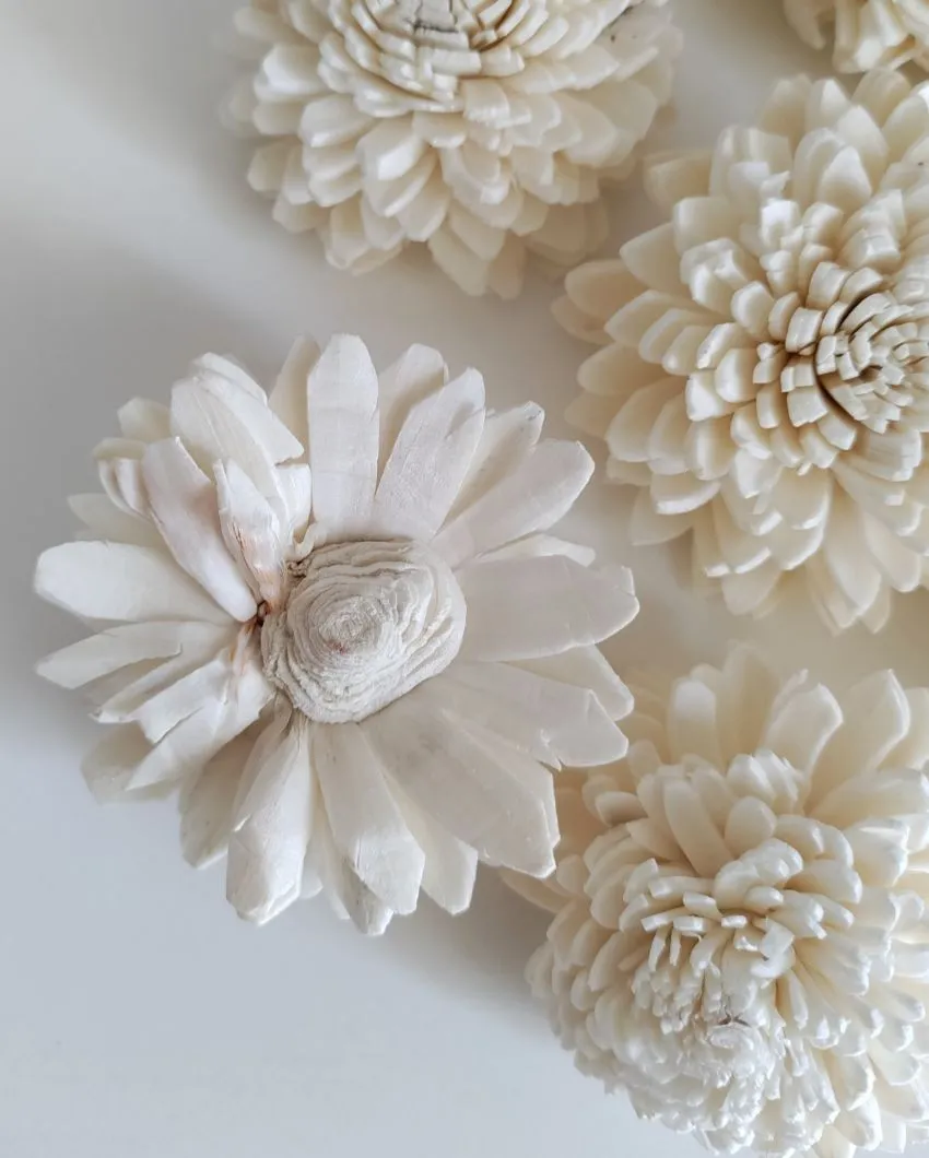 Corelle Sholapith DIY Flower Bunch | Vase Not Included | 15 Flower Heads