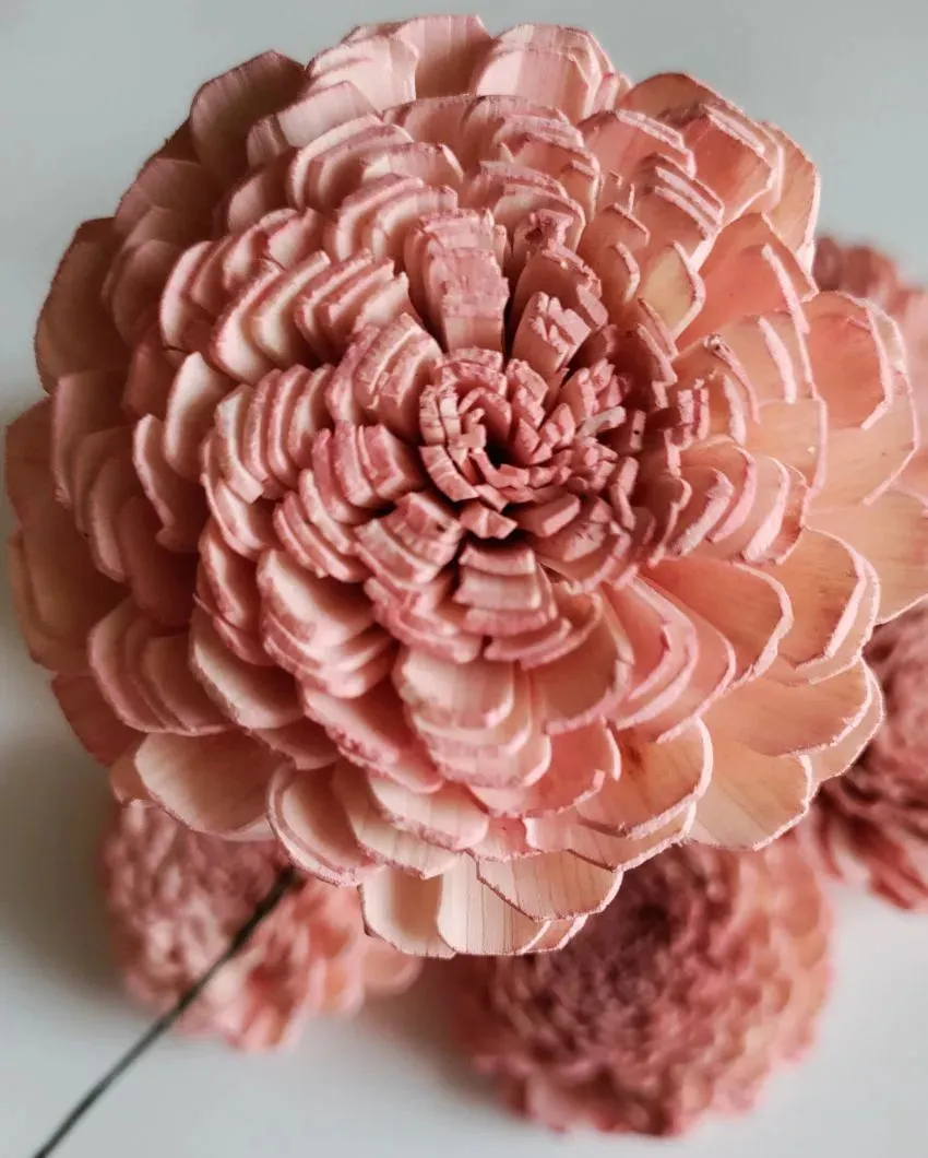 Corelle Sholapith DIY Flower Bunch | Vase Not Included | 15 Flower Heads