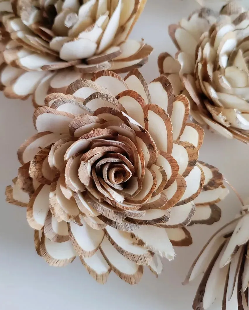 Corelle Sholapith DIY Flower Bunch | Vase Not Included | 15 Flower Heads