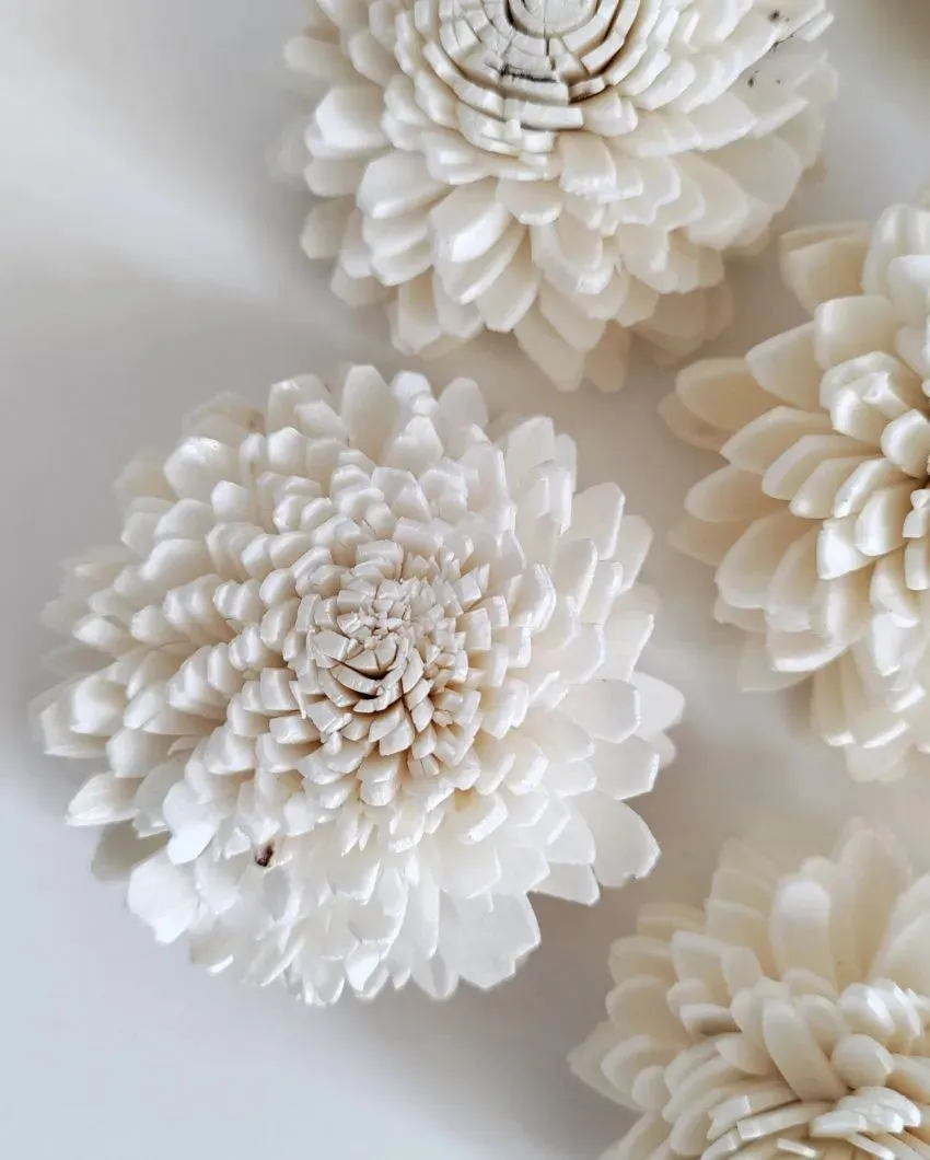 Corelle Sholapith DIY Flower Bunch | Vase Not Included | 15 Flower Heads
