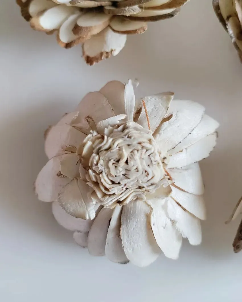 Corelle Sholapith DIY Flower Bunch | Vase Not Included | 15 Flower Heads