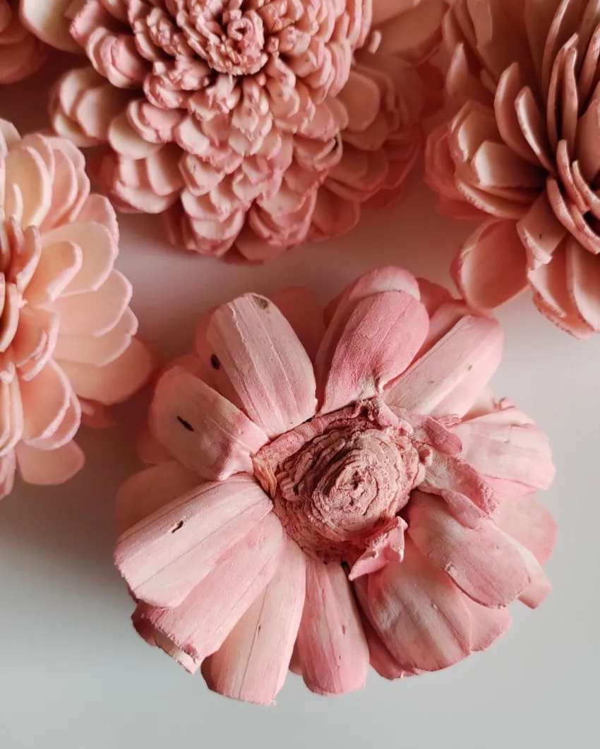 Corelle Sholapith DIY Flower Bunch | Vase Not Included | 15 Flower Heads