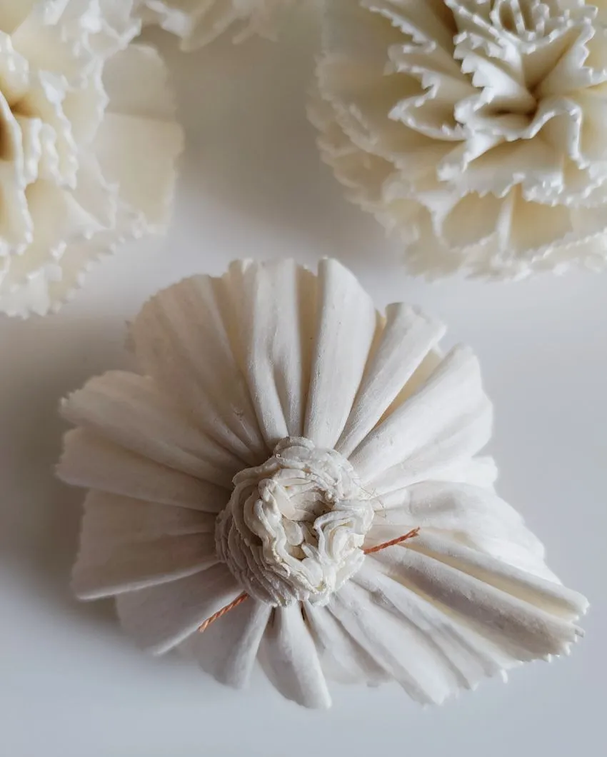 Corelle Sholapith DIY Flower Bunch | Vase Not Included | 15 Flower Heads