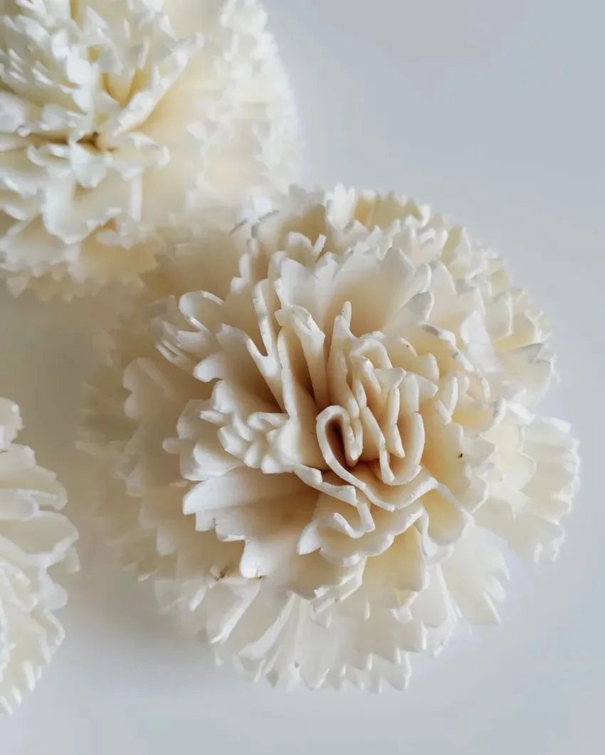 Corelle Sholapith DIY Flower Bunch | Vase Not Included | 15 Flower Heads