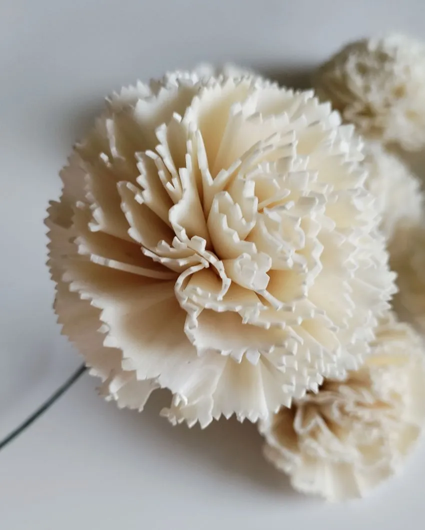 Corelle Sholapith DIY Flower Bunch | Vase Not Included | 15 Flower Heads