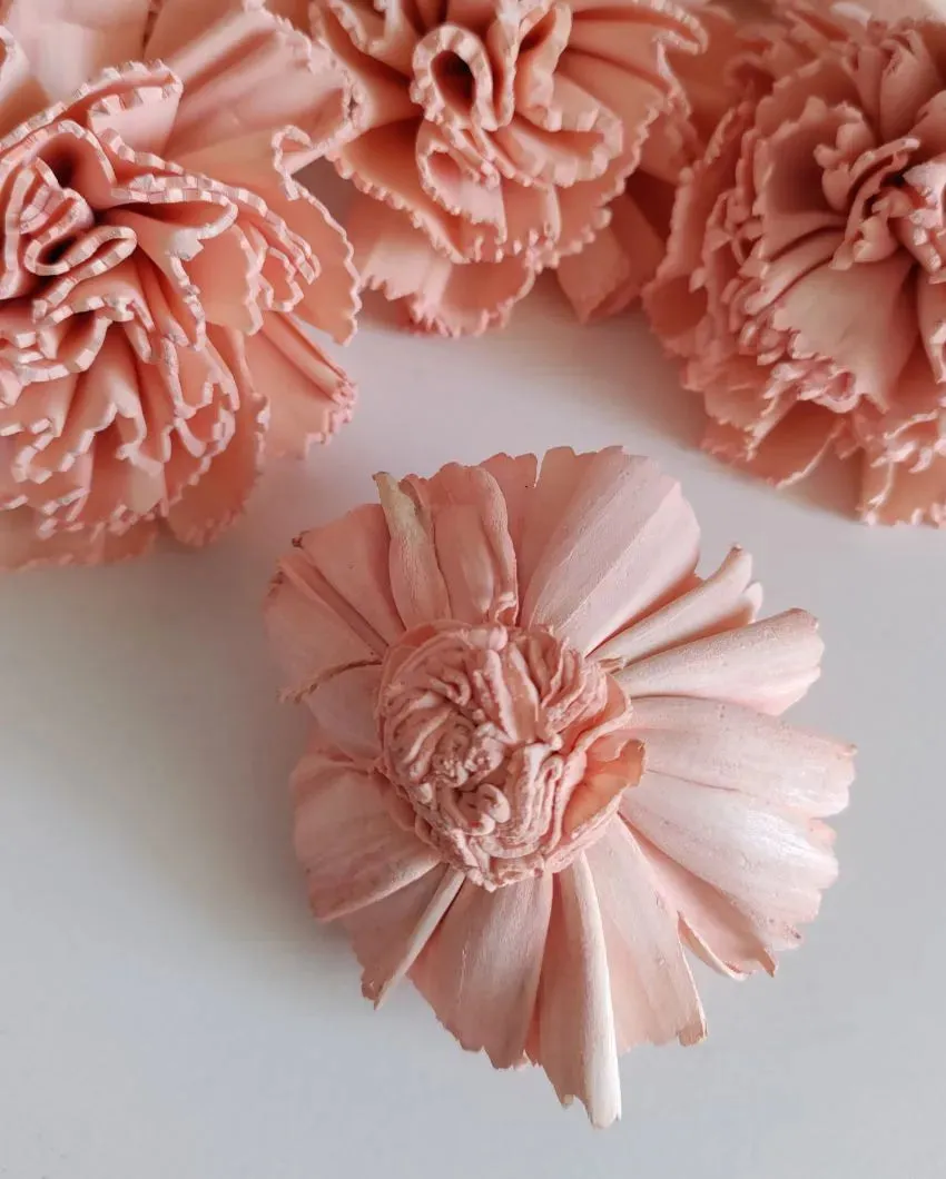 Corelle Sholapith DIY Flower Bunch | Vase Not Included | 15 Flower Heads