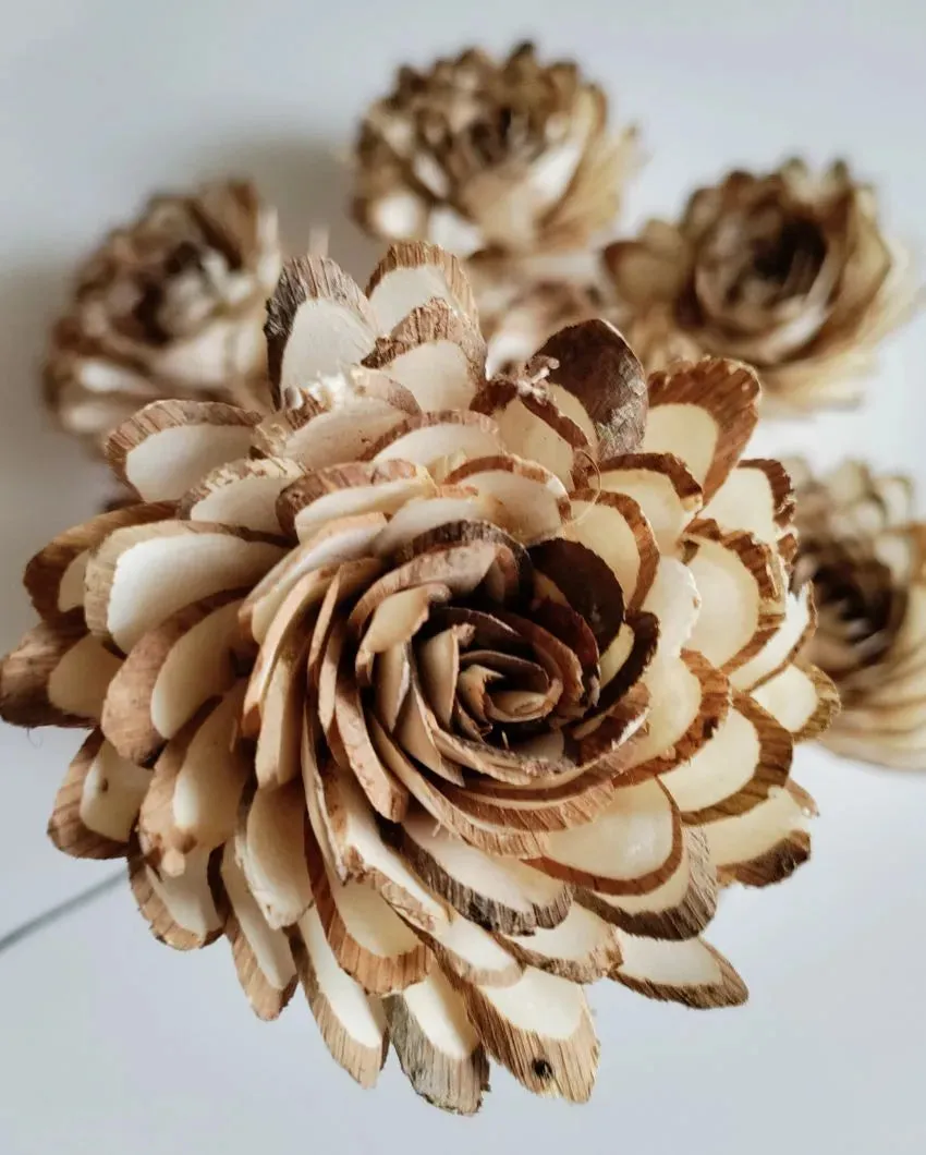 Corelle Sholapith DIY Flower Bunch | Vase Not Included | 15 Flower Heads