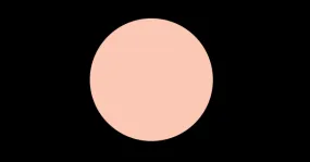 N45 COOL NEUTRAL DUAL POWDER
